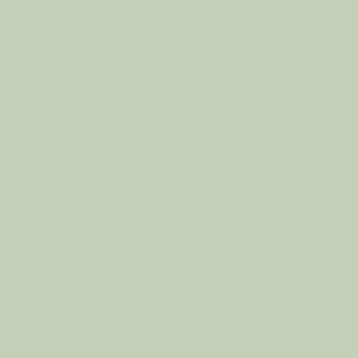T-shirt Sundaze - Tendres Verts – Image 4